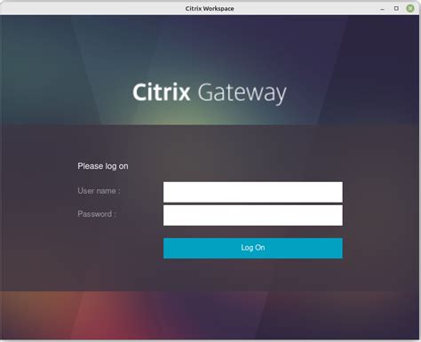 citrix workspace vdi login